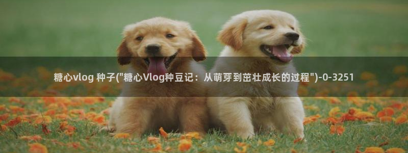 糖心c：糖心vlog 种子(\